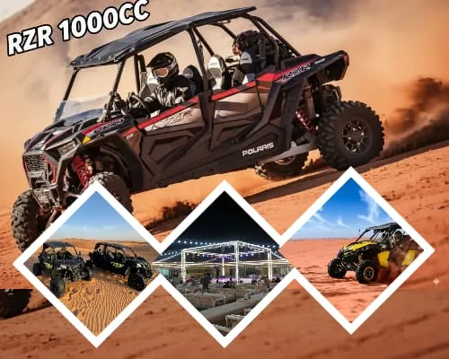 Polaris RZR Buggy Desert Ride